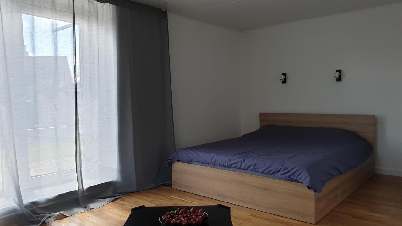 Apartmán Muziejaus 10 Studija Anykščiai Exteriér fotografie